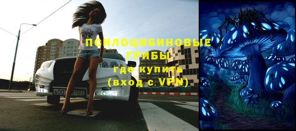 МДПВ Нефтегорск
