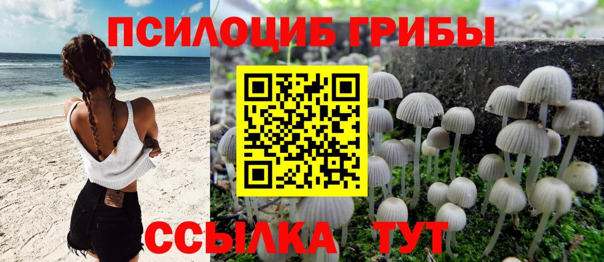 Галлюциногенные грибы ЛСД Владимир